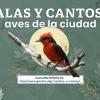 lanzan_radio_cucba_y_gaceta_udeg_el_repositorio_audiovisual_alas_y_cantos_aves_de_la_ciudad_1